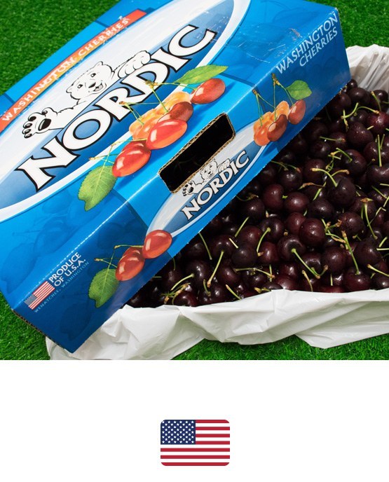 เชอรี่แดง · Nordic