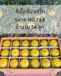 ส้มโอเชี่ยนสวีท ขายส่ง ฝาง เชียงใหม่ ออนไลน์ 2