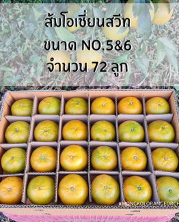 ส้มโอเชี่ยนสวีท ขายส่ง ฝาง เชียงใหม่ ออนไลน์ 4