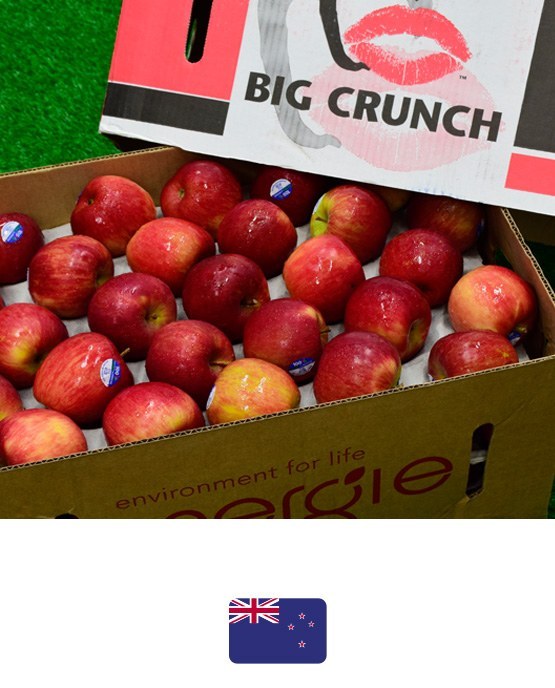 แอปเปิลฟูจิ · Big Crunch