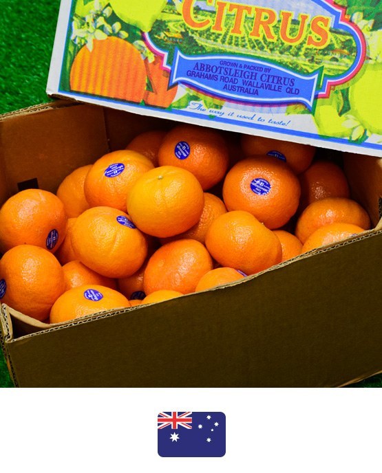 ส้มแมนดาริน · Citrus