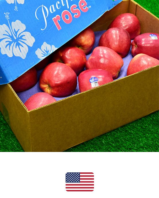 แอปเปิลโรส-อเมริกา-ผลไม้