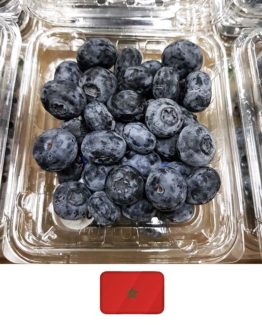 Blueberry1-3