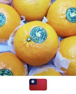 Orange_Taiwan 1-4