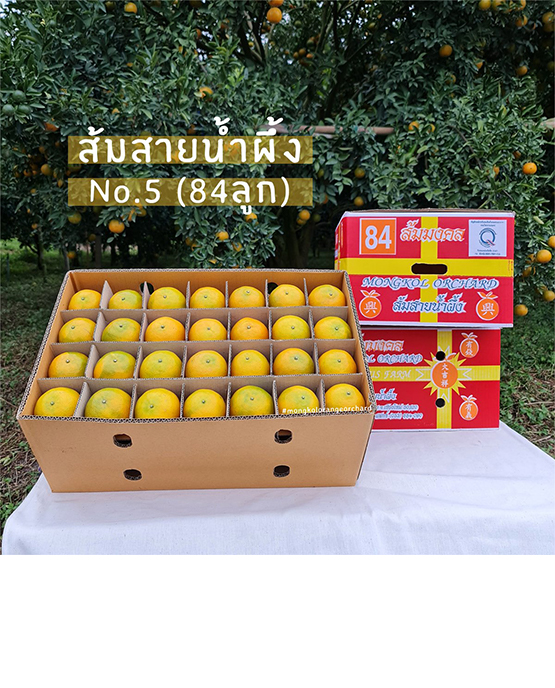 ส้มสายน้ำผึ้งขายส่ง ฝาง เชียงใหม่ ออนไลน์4