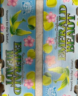 ลูกไหนหยก อเมริกา Emerald Beaut Plum California