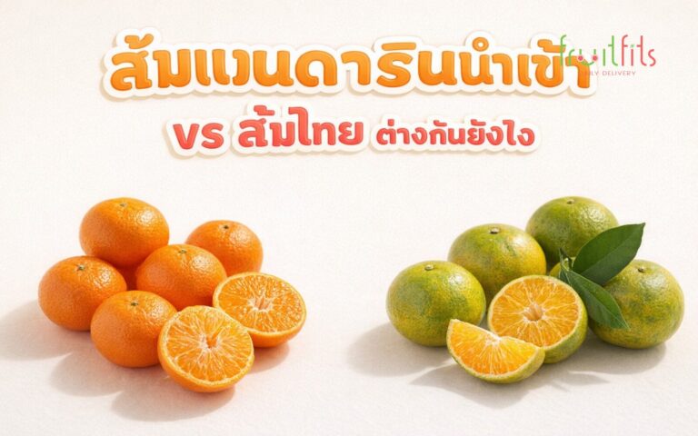 ส้มแมนดารินนำเข้า vs ส้มไทย ต่างกันยังไง คู่มือสำหรับธุรกิจซื้อส่งผลไม้
