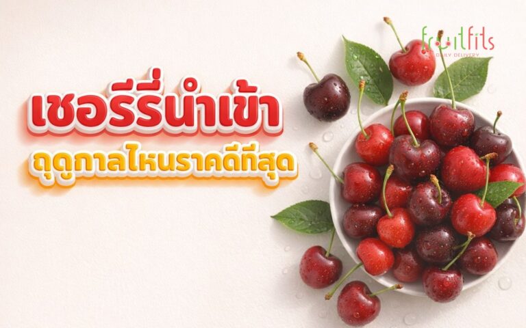 เชอร์รี่นำเข้า ฤดูกาลไหนราคาดีที่สุด — คู่มือสั่งซื้อสำหรับธุรกิจ F&B