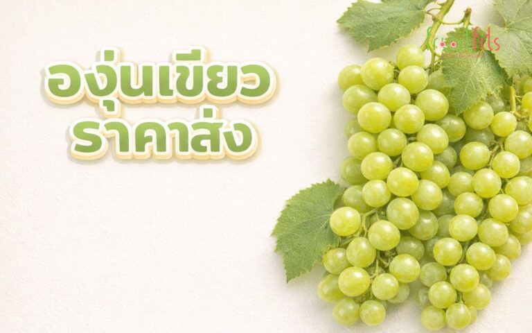 องุ่นเขียวนำเข้า ซื้อที่ไหนดี ราคาส่ง — คู่มือฉบับเต็มสำหรับธุรกิจ F&B