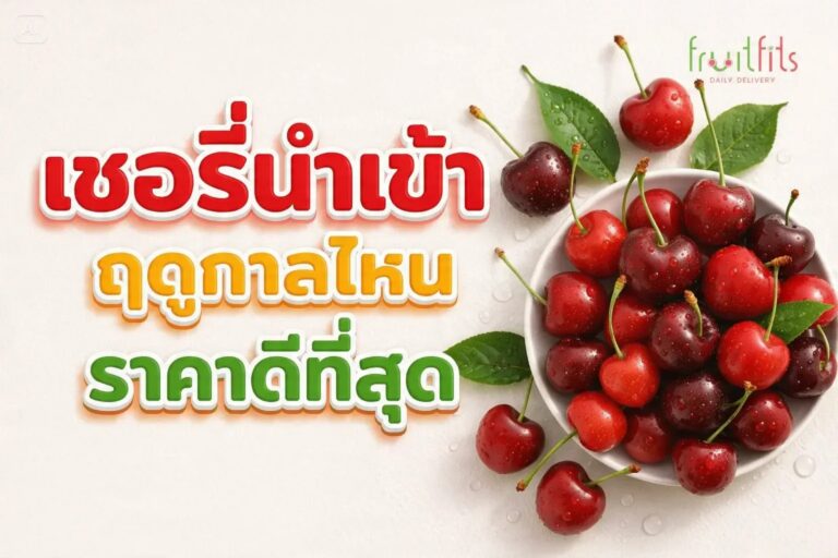เชอร์รี่นำเข้า ฤดูกาลไหนราคาดีที่สุด — คู่มือสั่งซื้อสำหรับธุรกิจ F&B
