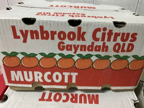 ส้มแมนดาริน · Murcott