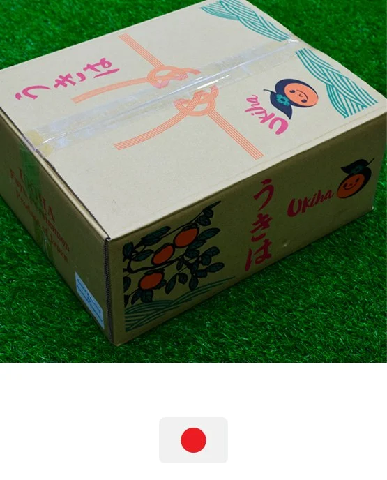 พลับ · Ukiha
